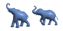 two elephants standing next to each other elephants