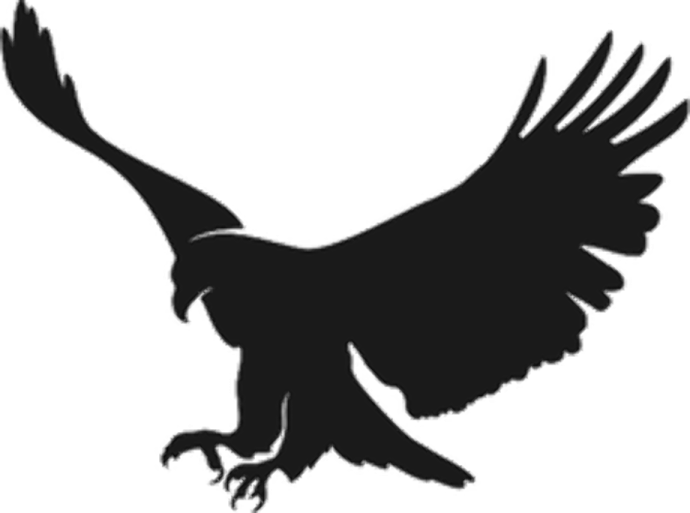 an eagle silhouetted on a white background