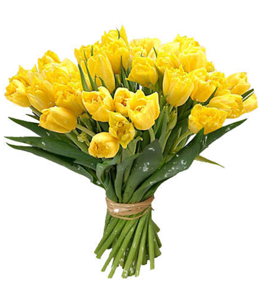 a bouquet of yellow tulips