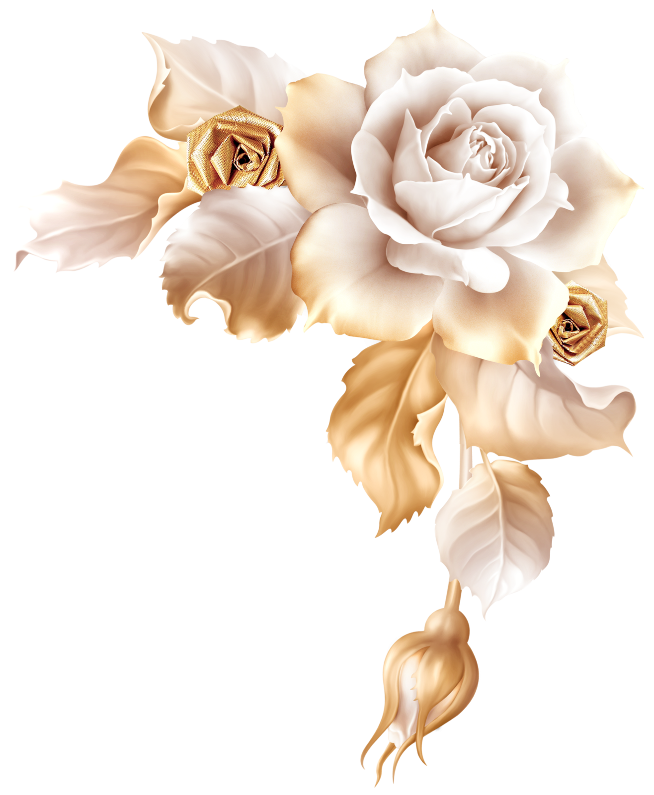 a bouquet of white roses on a white background