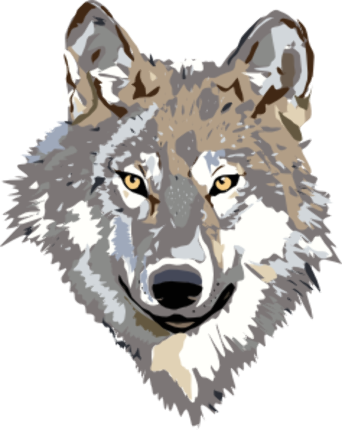 a drawing of a wolf's face