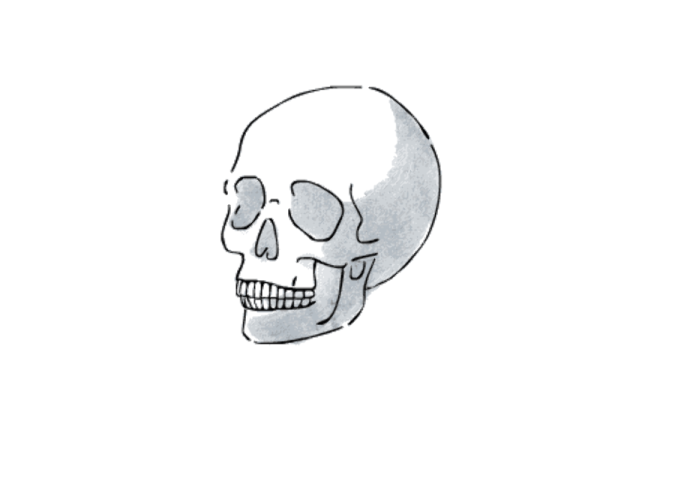 a drawing of a skull on a white background