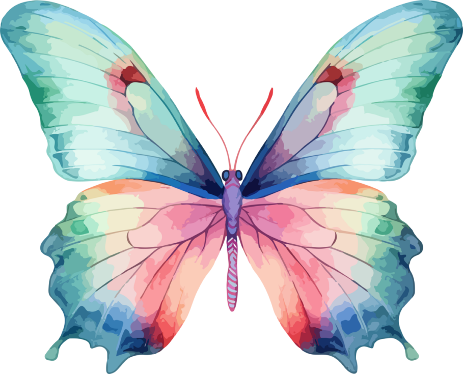 a colorful butterfly on white background