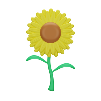 a yellow flower on a white background