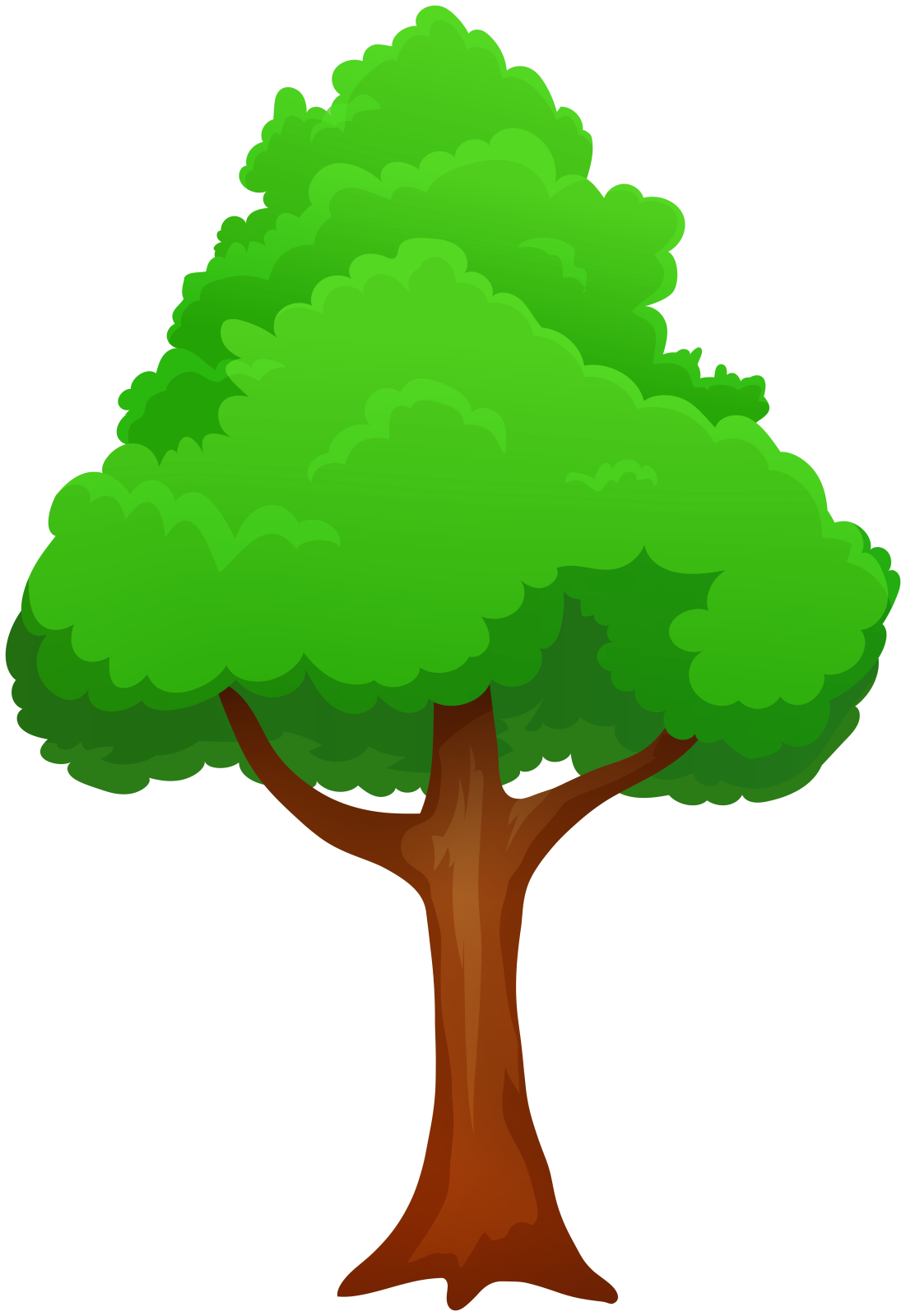 a tree with green leaves on it