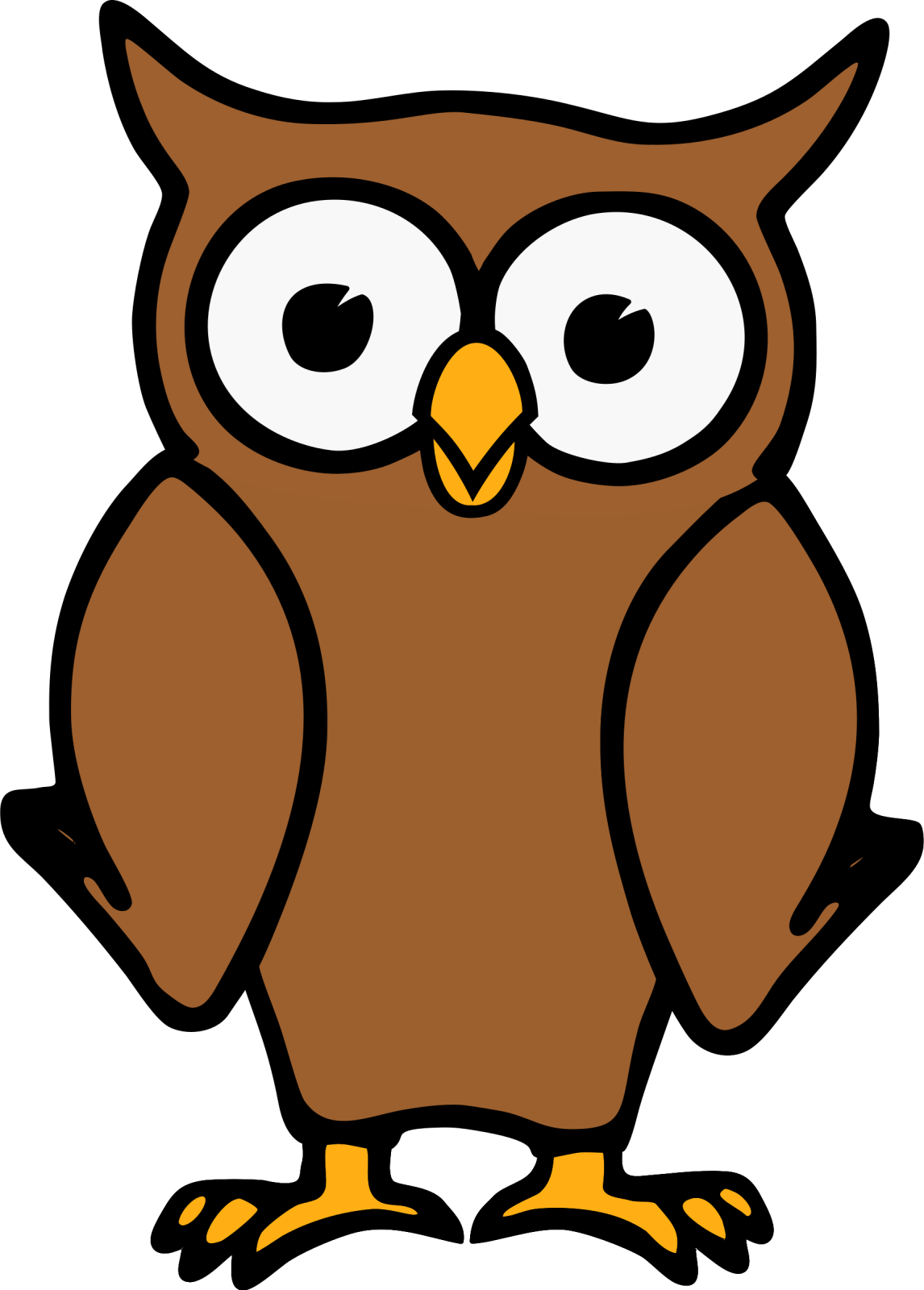 an owl with big eyes