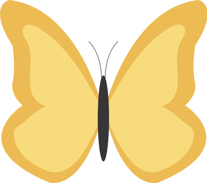 a yellow butterfly with black wings