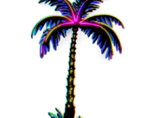 a drawing of a palm tree on a white background