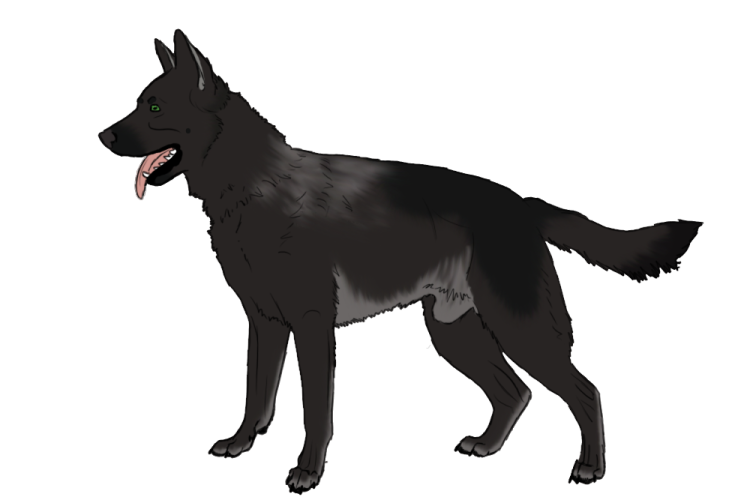 a black dog with its mouth open