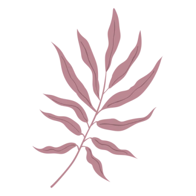 a pink leaf on a white background