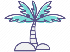 a palm tree in the middle of a white background