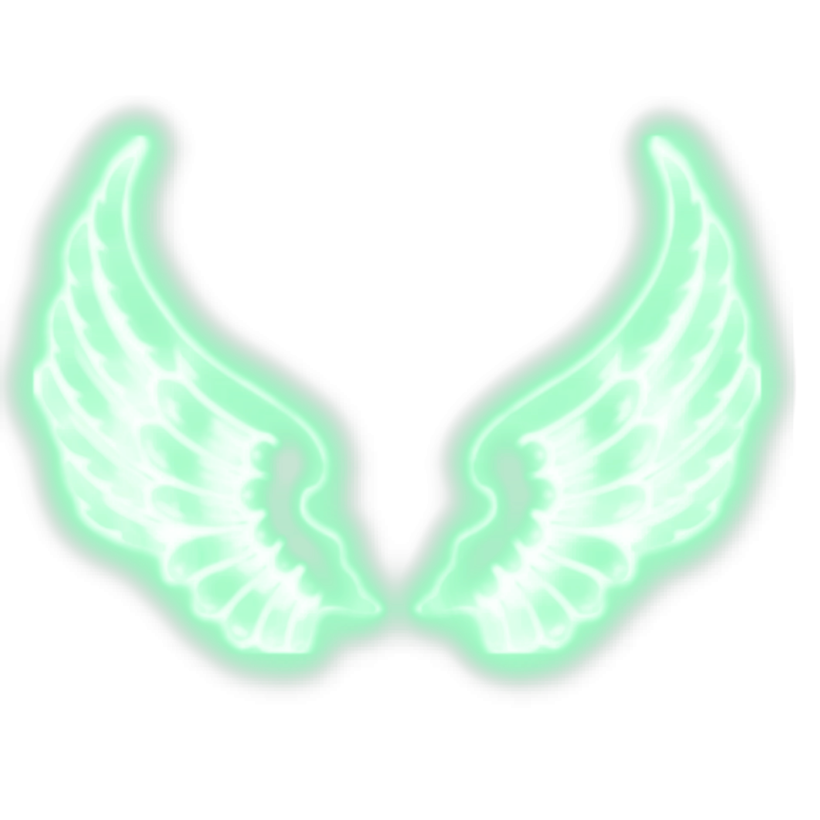 a pair of wings on a white background