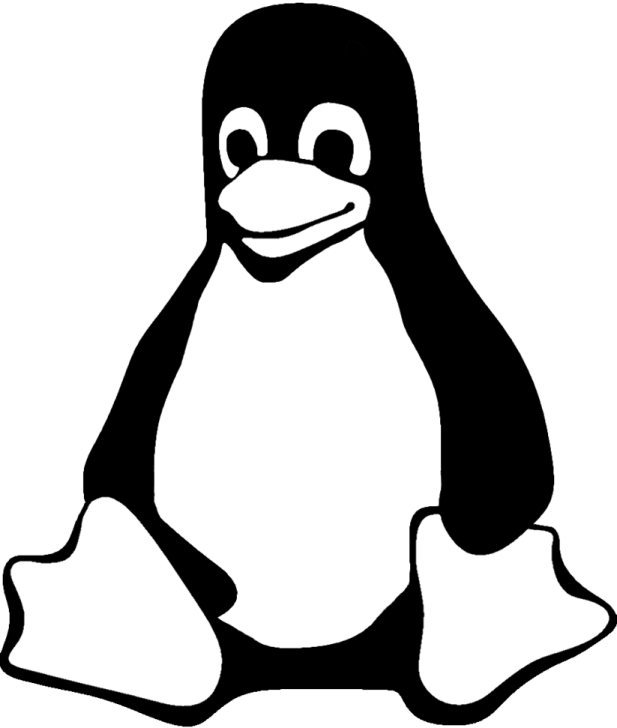 a black and white penguin sitting on the ground