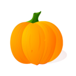 an orange pumpkin on a white background