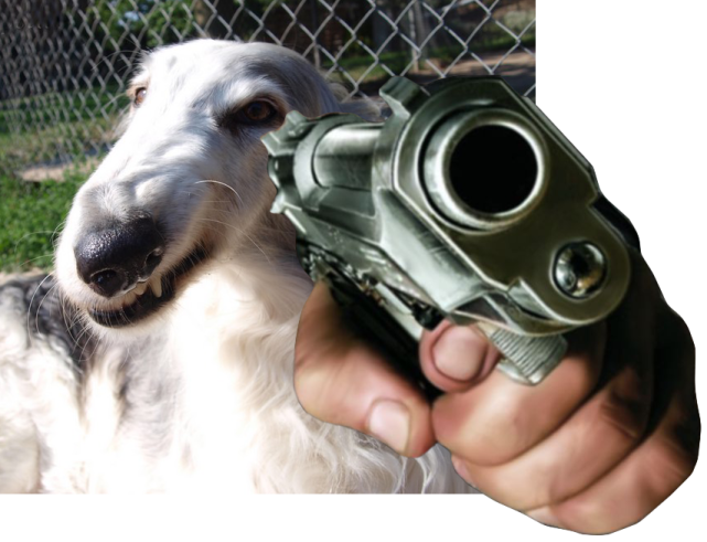 a dog holding a toy gun in its mouth