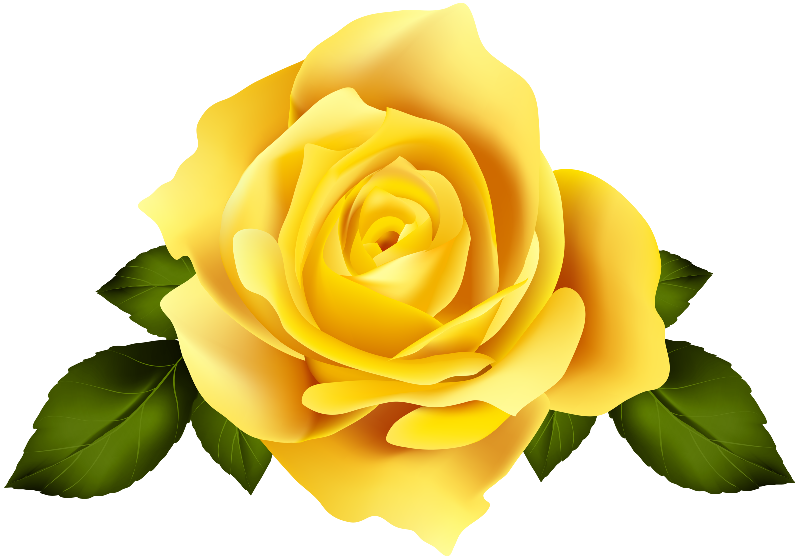 a yellow rose with green leaves