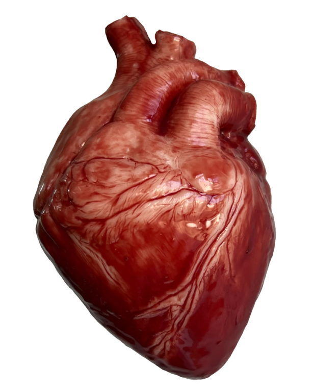 a heart with blood on it