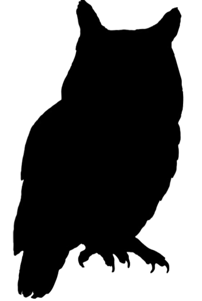 an owl silhouetted on a white background