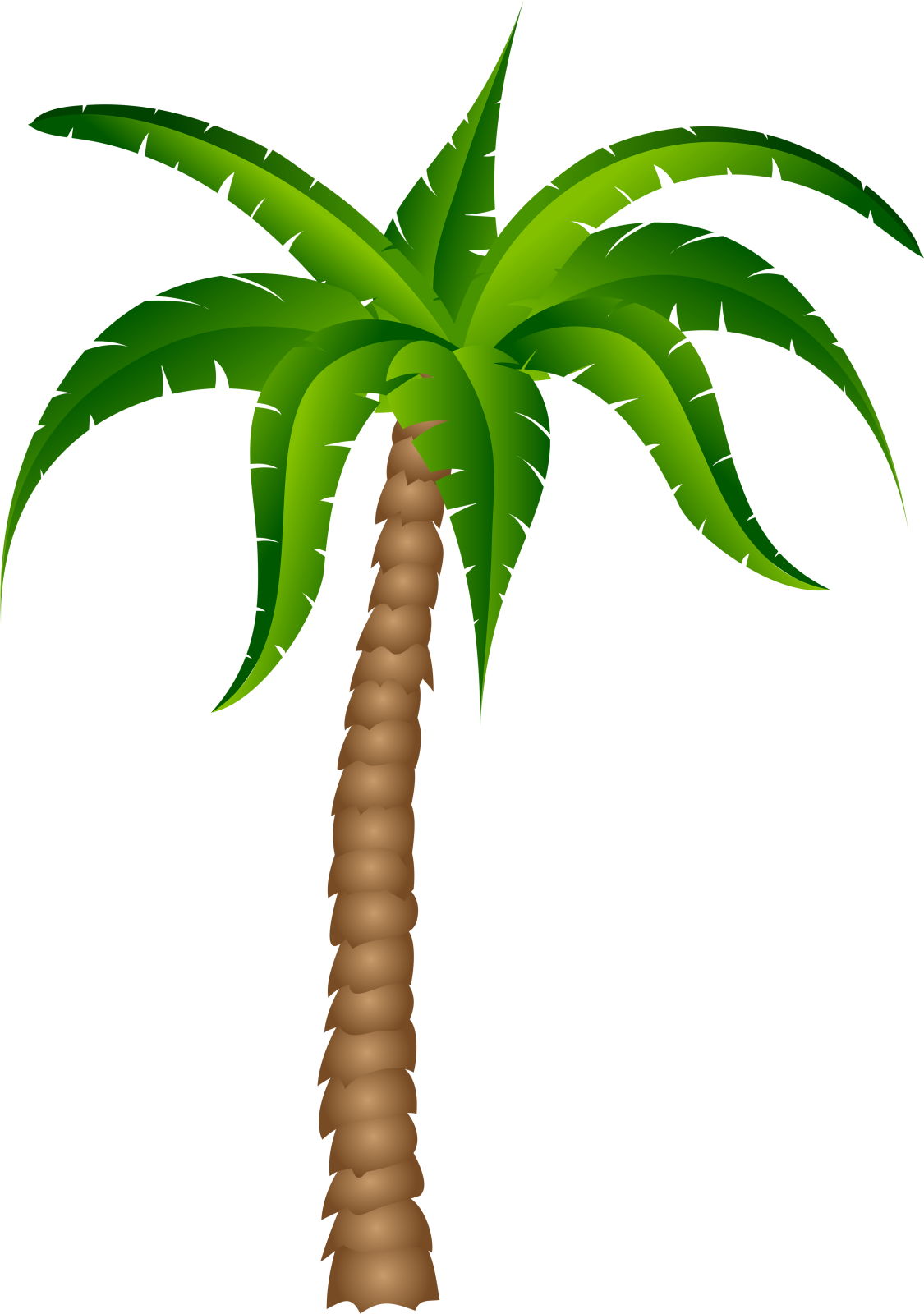 a palm tree clipart