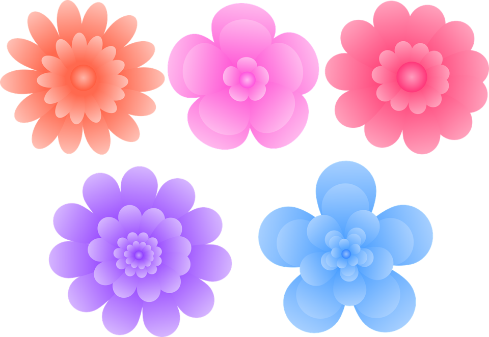 a set of four colorful flowers