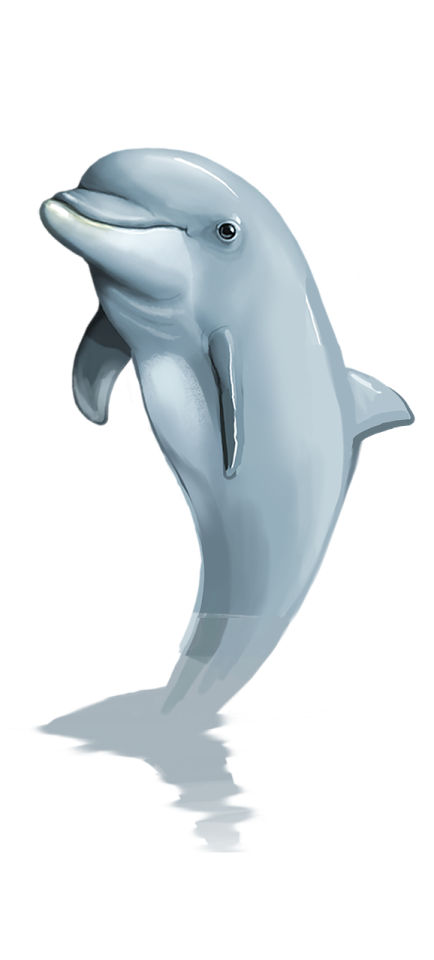 a dolphin with its mouth open in the air