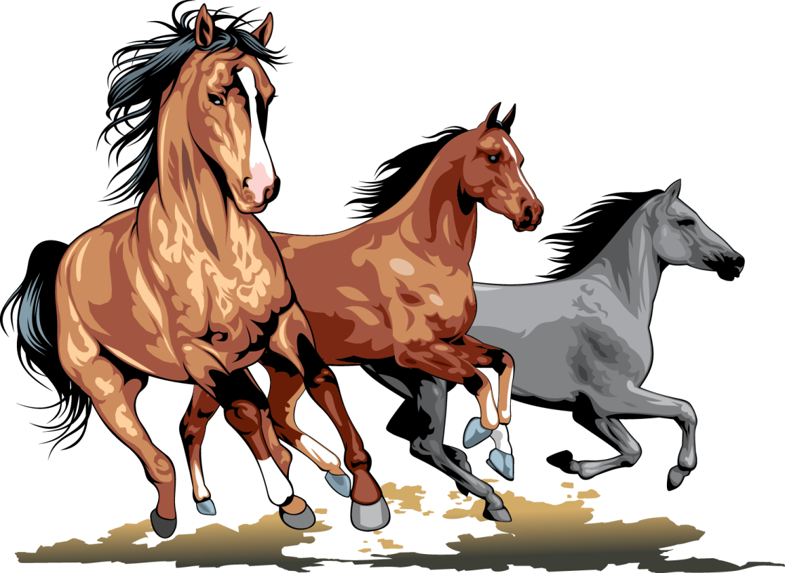 three horses running in a row