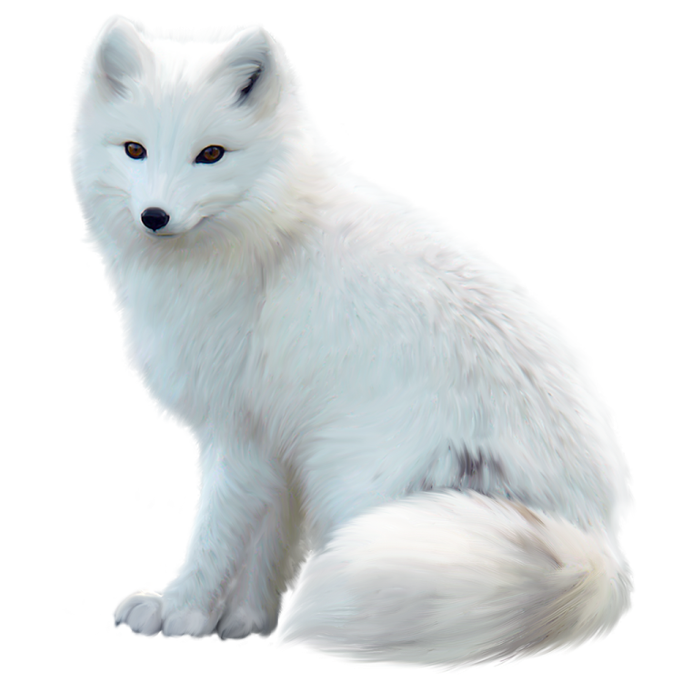 a painting of a white fox sitting down