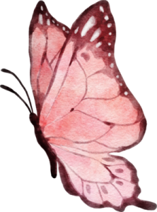 a watercolor painting of a pink butterfly