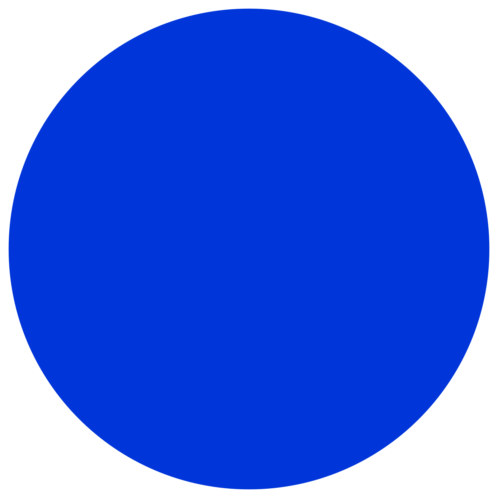 a blue circle on a white background