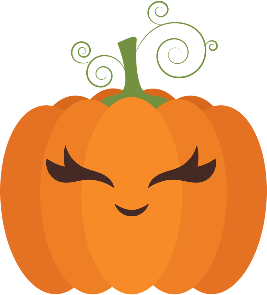an orange pumpkin with a green leaf on top