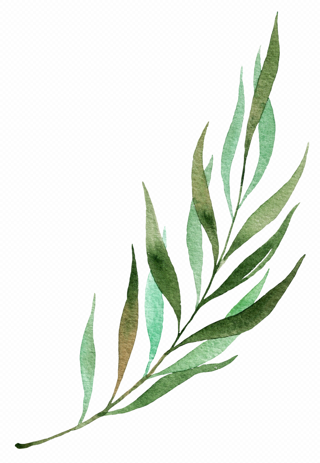 a watercolor painting of green leaves
