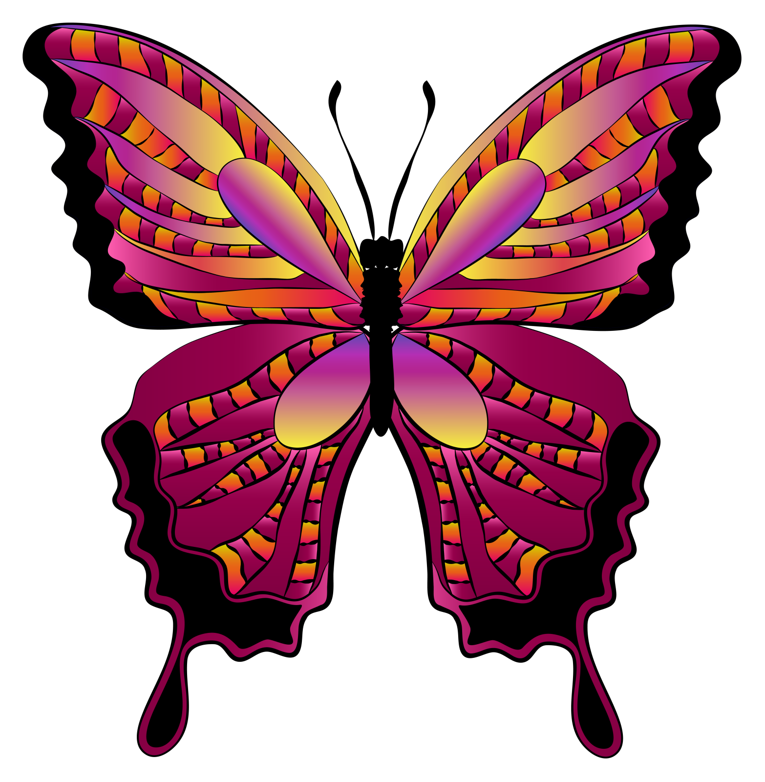 a purple butterfly with orange and yellow wings