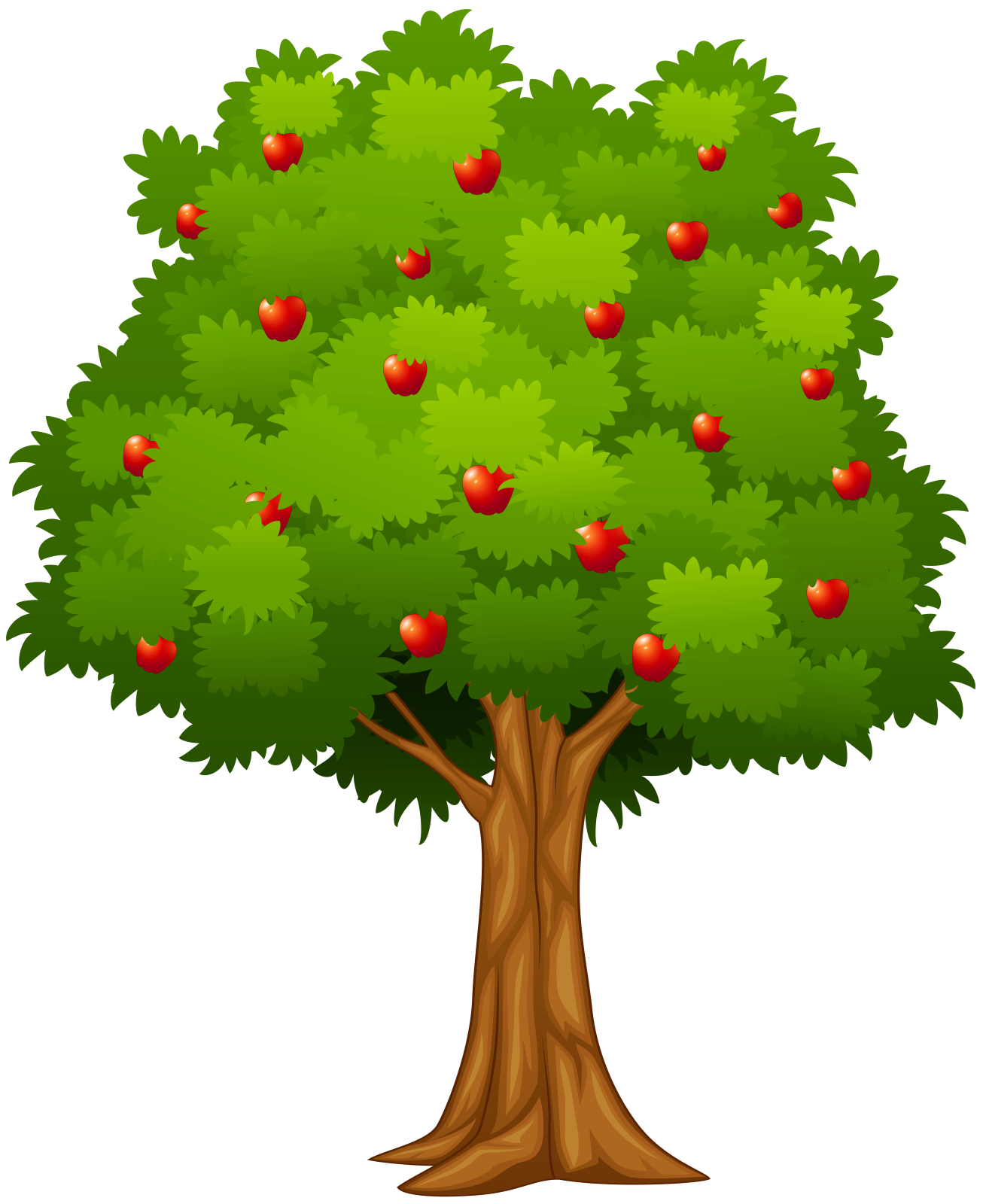 a tree with apples on it
