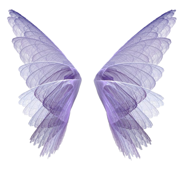 two purple wings on a white background
