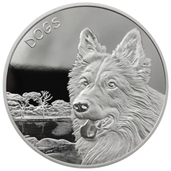 a silver coin with an image of a dog