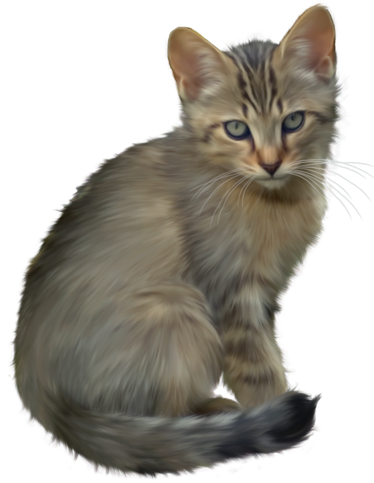 a drawing of a kitten sitting down