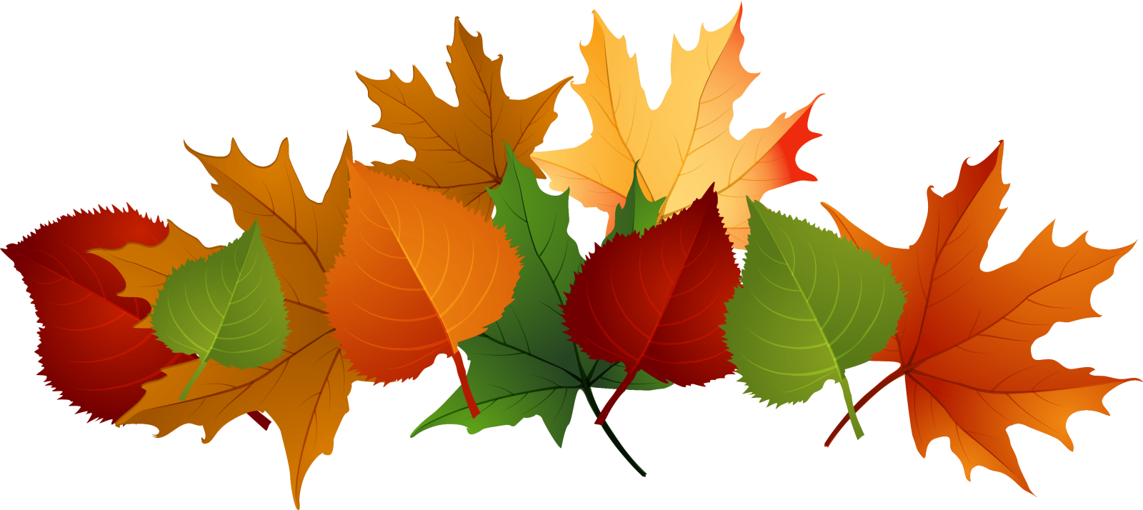 a bunch of colorful autumn leaves
