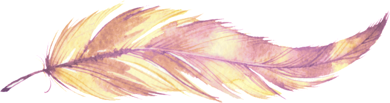 a drawing of a feather on a white background