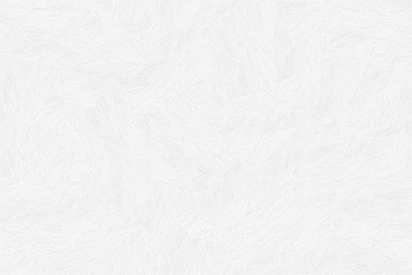 a white background with a rough texture