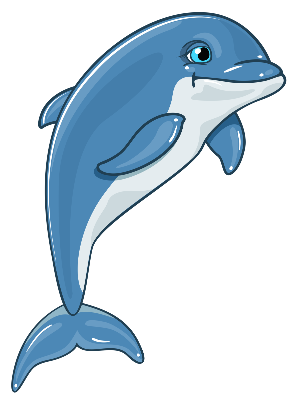a blue dolphin jumping in the air