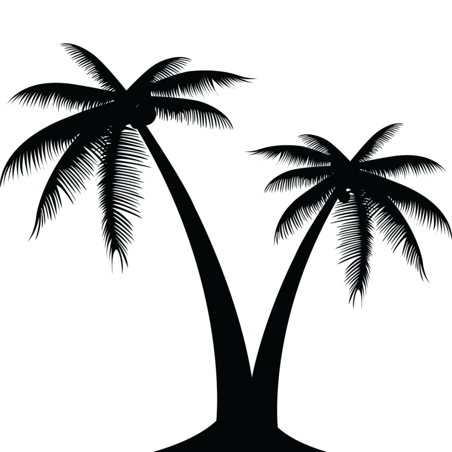 two palm trees on a white background
