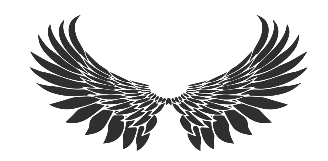 a black and white image of an angel wing