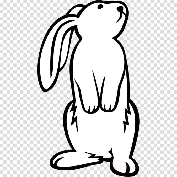 a black and white rabbit sitting on its hind