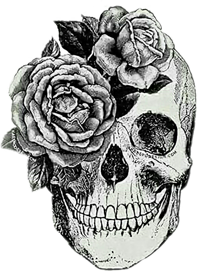 a drawing of a skull with roses on it