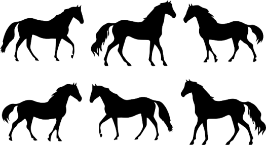 horse silhouettes on white background