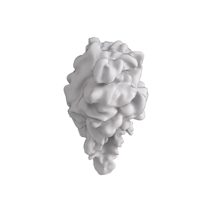 a 3d model of a white flower