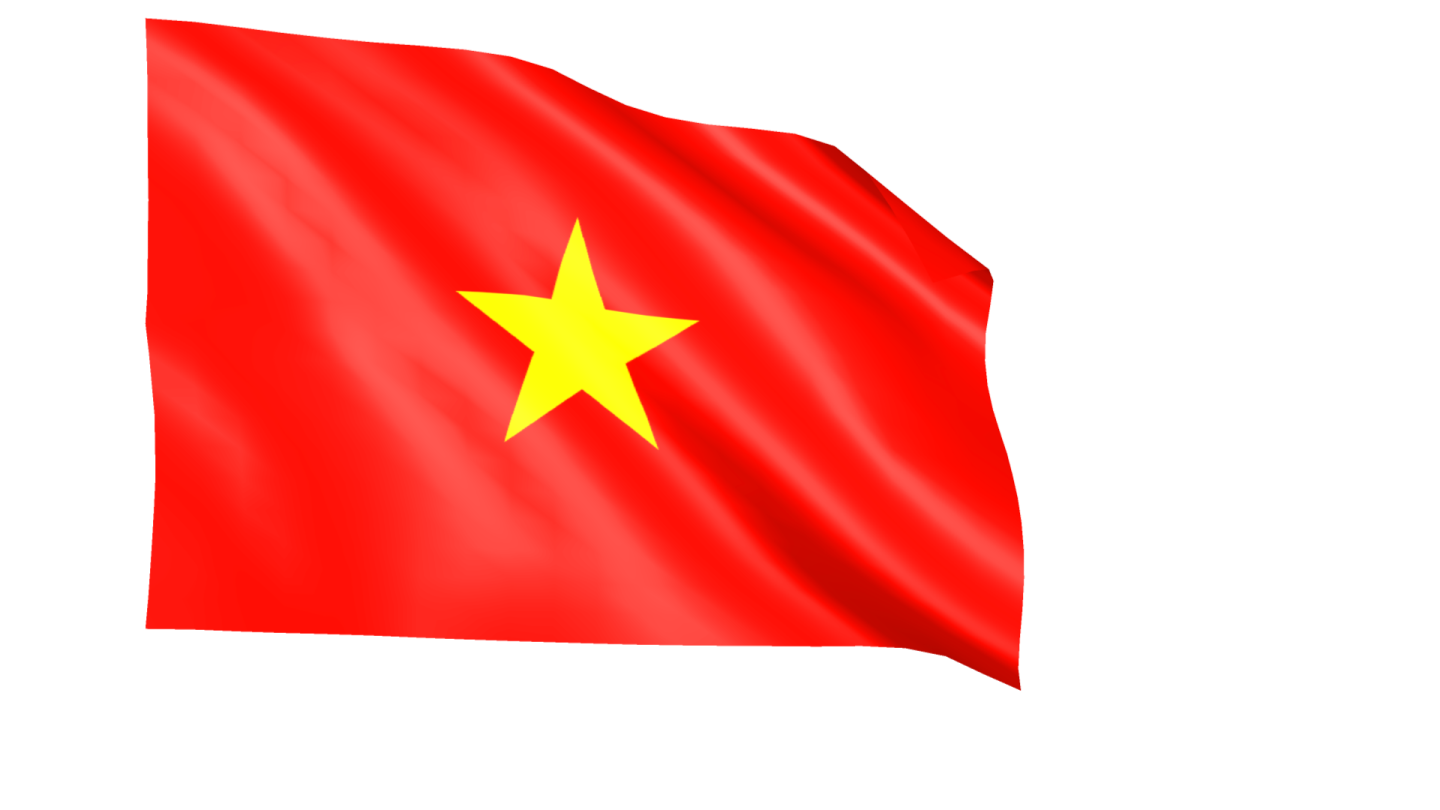 the vietnam flag is waving in the wind