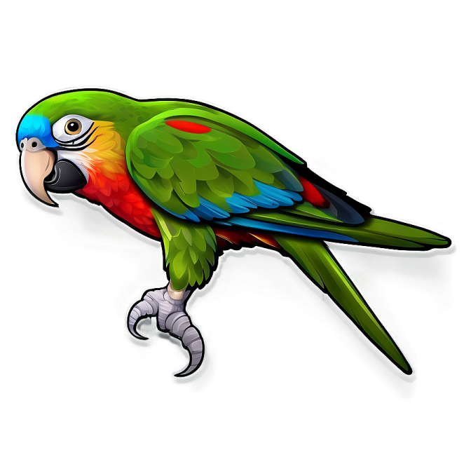 a colorful parrot on a white background