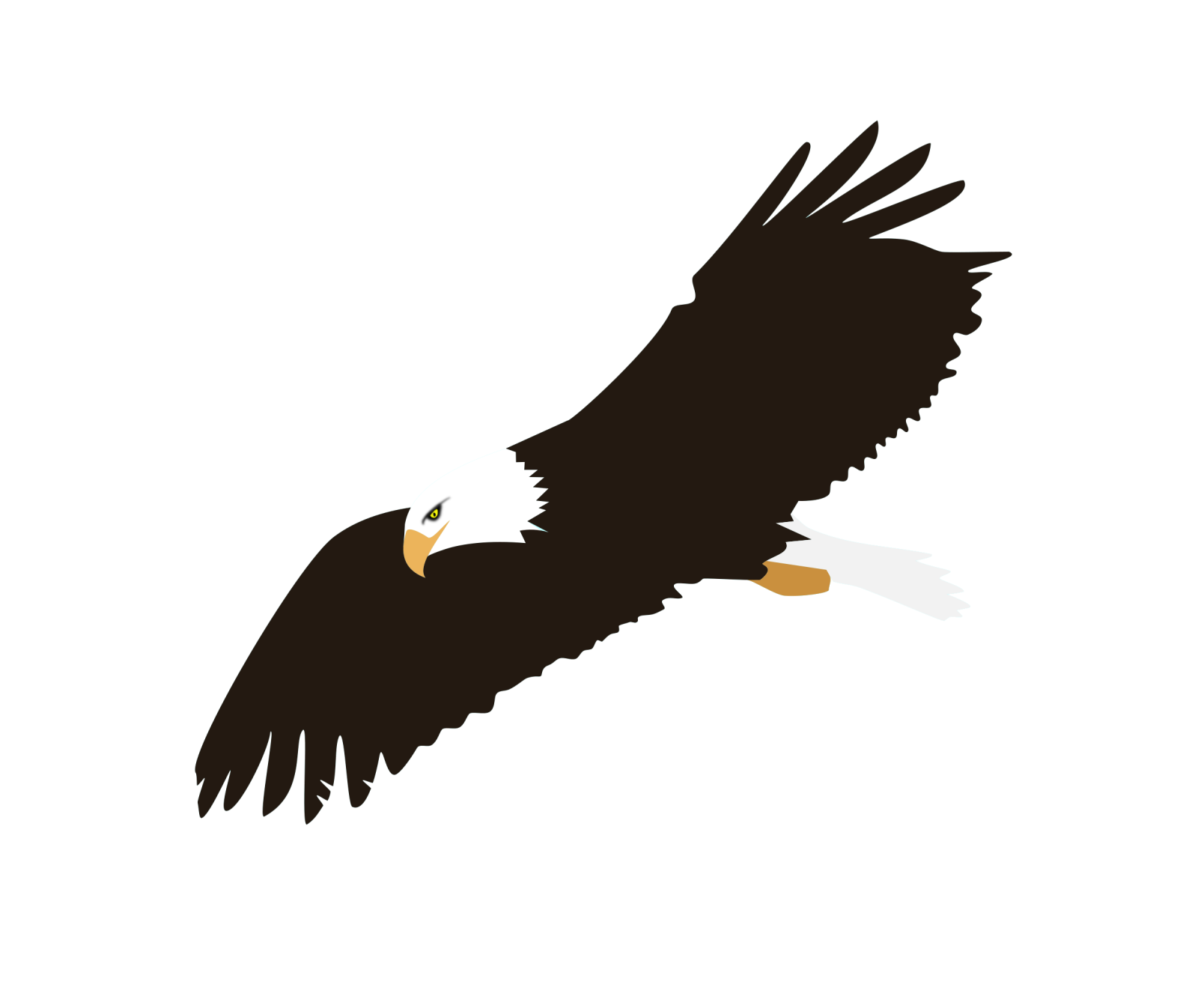 an eagle flying in the sky