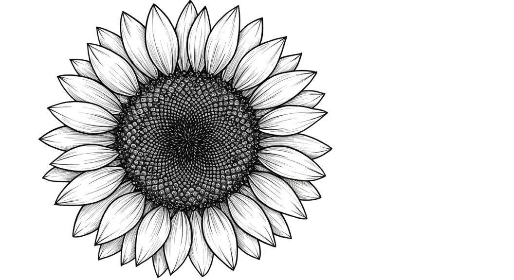 a black and white drawing of a sunflower